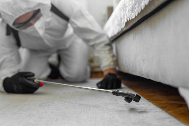 Professional Cockroach Control technician working in Hypoluxo, FL